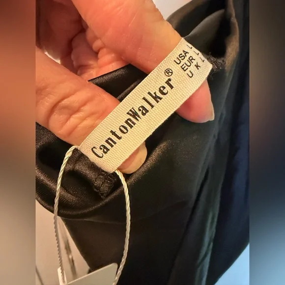 Cantonwalker Chic Black Satin Mini Dress - Picture 4 of 7